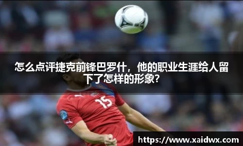 怎么点评捷克前锋巴罗什，他的职业生涯给人留下了怎样的形象？